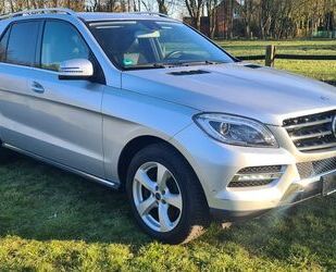Mercedes-Benz ML 250 Gebrauchtwagen