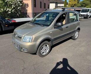Fiat Panda Gebrauchtwagen