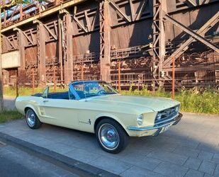 Ford Mustang Gebrauchtwagen