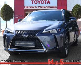 Lexus UX Gebrauchtwagen