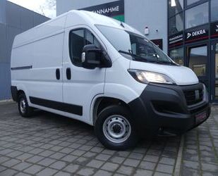 Fiat Ducato Gebrauchtwagen