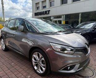 Renault Scenic Gebrauchtwagen