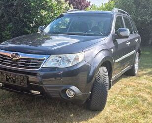 Subaru Forester Gebrauchtwagen