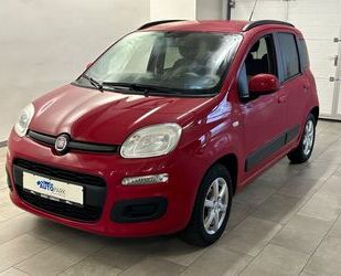Fiat Panda Gebrauchtwagen
