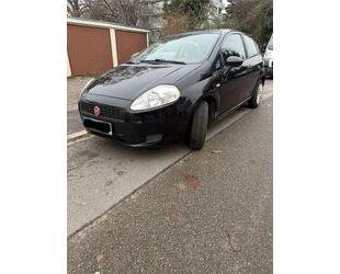 Fiat Punto Gebrauchtwagen