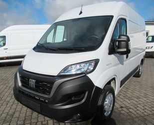 Fiat Ducato Gebrauchtwagen