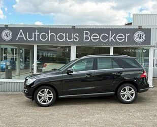 Mercedes-Benz ML 250 Gebrauchtwagen