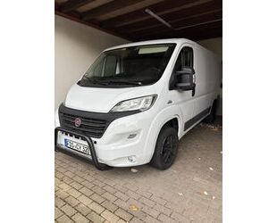 Fiat Ducato Gebrauchtwagen