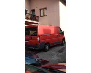 Fiat Ducato Gebrauchtwagen