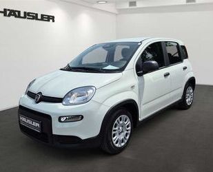 Fiat Panda Gebrauchtwagen