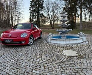 VW Beetle Gebrauchtwagen