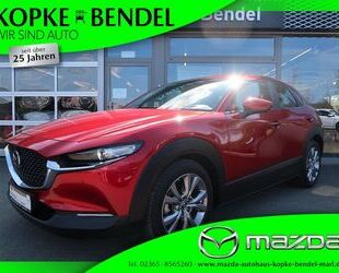 Mazda CX-30 Gebrauchtwagen