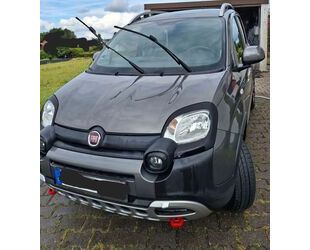 Fiat Panda Gebrauchtwagen
