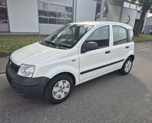 Fiat Panda Gebrauchtwagen