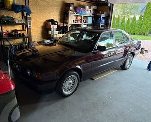 BMW 525 Gebrauchtwagen