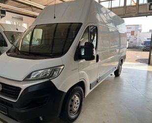 Fiat Ducato Gebrauchtwagen