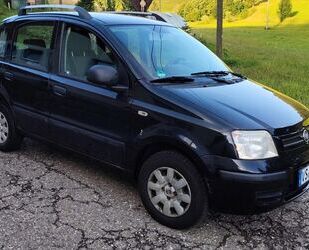 Fiat Panda Gebrauchtwagen