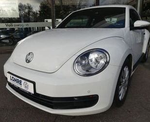 VW Beetle Gebrauchtwagen