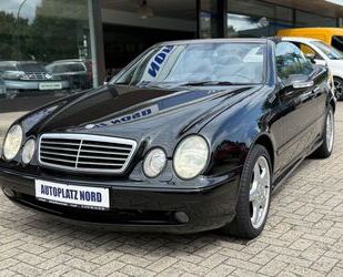 Mercedes-Benz CLK 55 AMG Gebrauchtwagen
