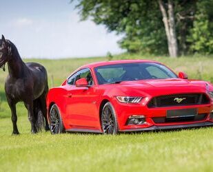 Ford Mustang Gebrauchtwagen