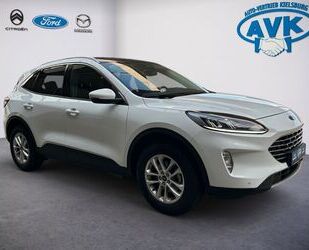Ford Kuga Gebrauchtwagen