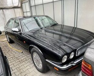 Jaguar XJ Gebrauchtwagen