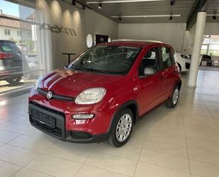 Fiat Panda Gebrauchtwagen
