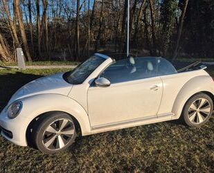 VW Beetle Gebrauchtwagen