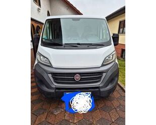 Fiat Ducato Gebrauchtwagen
