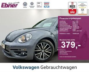 VW Beetle Gebrauchtwagen