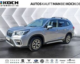 Subaru Forester Gebrauchtwagen