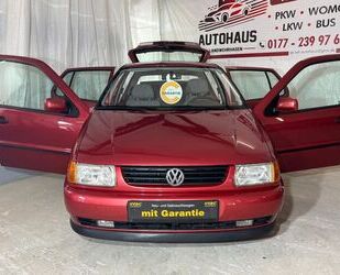 VW Polo Gebrauchtwagen