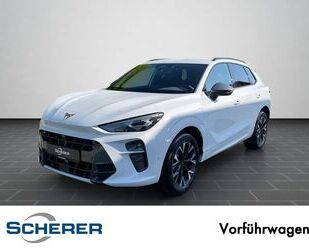 Cupra Terramar Gebrauchtwagen