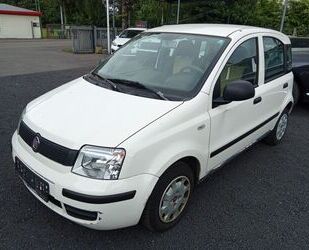 Fiat Panda Gebrauchtwagen