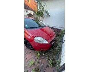 Fiat Punto Gebrauchtwagen