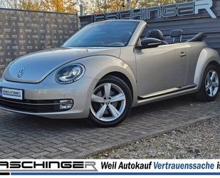 VW Beetle Gebrauchtwagen