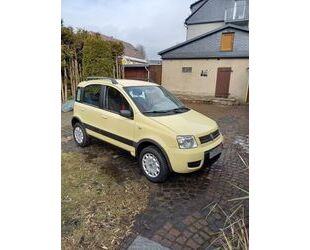 Fiat Panda Gebrauchtwagen