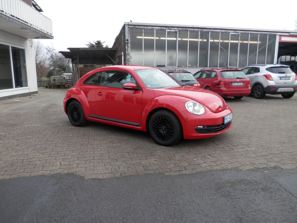 Bild 1