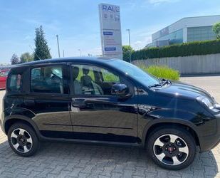 Fiat Fiat Panda CROSS HYBRID City Plus KLIMA 5 SITZPL Gebrauchtwagen