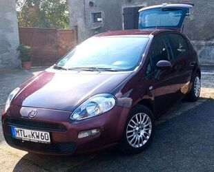 Fiat Punto Gebrauchtwagen