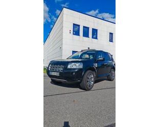 Land Rover Freelander Gebrauchtwagen