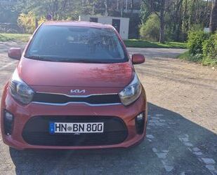 Kia Picanto Gebrauchtwagen