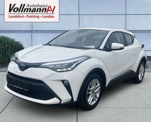 Toyota C-HR Gebrauchtwagen