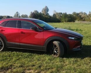 Mazda CX-30 Gebrauchtwagen