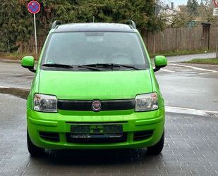 Fiat Panda Gebrauchtwagen