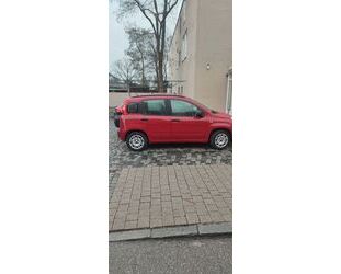 Fiat Panda Gebrauchtwagen