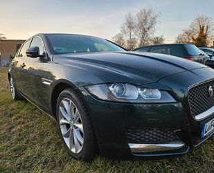 Jaguar XF Gebrauchtwagen