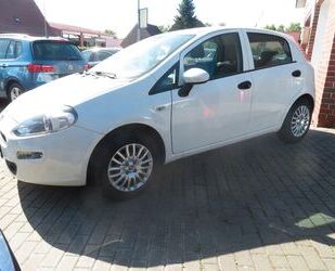 Fiat Punto Gebrauchtwagen