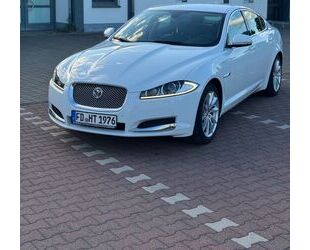 Jaguar XF Gebrauchtwagen