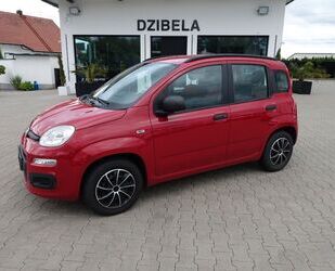 Fiat Panda Gebrauchtwagen